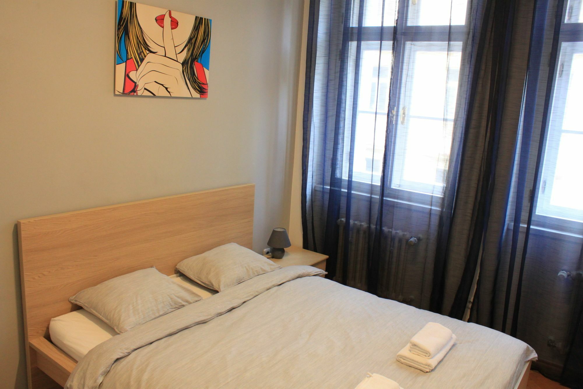 Nejedleho Apartmeet Прага Экстерьер фото
